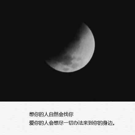 想说的话在眼睛里，草稿箱里，还有梦里