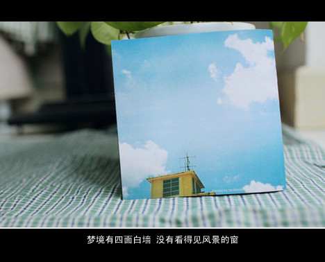只是我把你放错了位置，仅此而已
