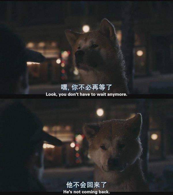 这么怕明天，那今天怎么活？