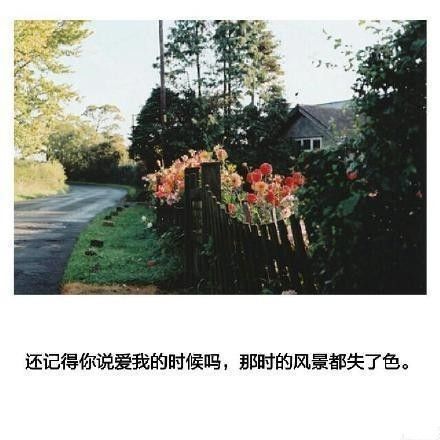 唯美图片，文字图片,情侣图片qqqqp