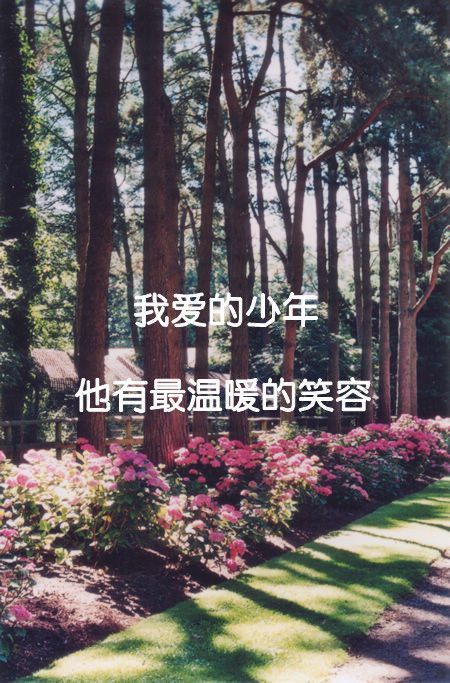 孤独成瘾的意境带字图片 不想最后只有回忆陪我
