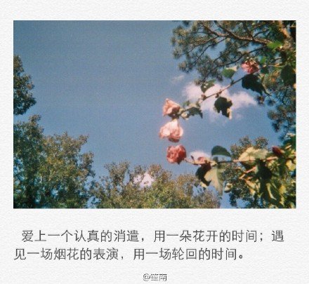 你的衣裳今天我在穿，未留住你，却仍然温暖