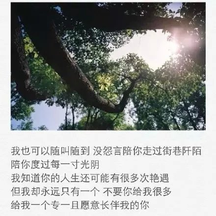 你放心，很快我就会忘记你了