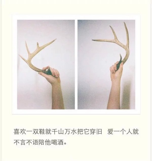如果黑夜太难熬，我陪你日夜颠倒