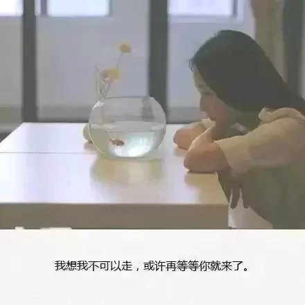 唯美图片，文字图片，动漫图片，情侣图片,qqqqp.com