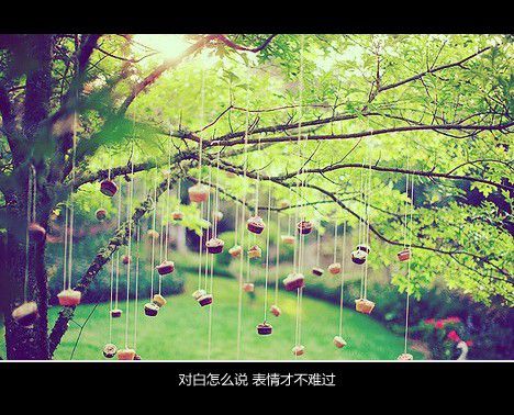 那些女孩，教会我成长