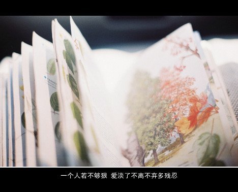 唯美图片，文字图片,情侣图片qqqqp