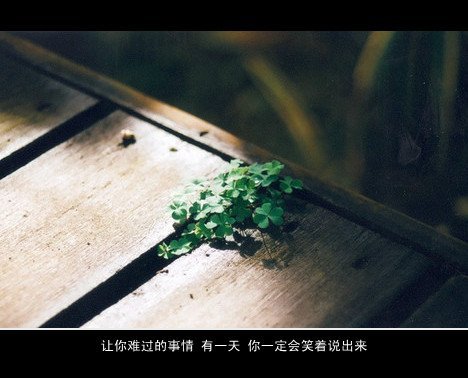 给我一个空白，让我从新去爱