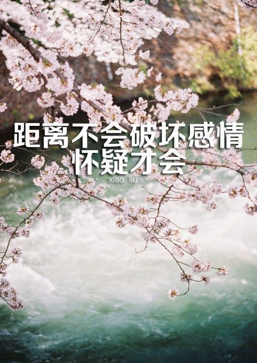 我爱你不怕万人阻拦