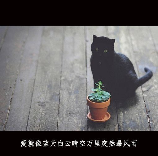 离开这个城市，让风带走我们的故事