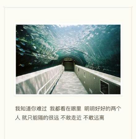 唯美图片，文字图片,情侣图片qqqqp