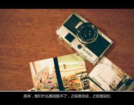 我输给了时光的少年