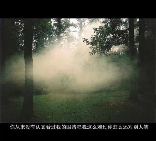 唯美图片，文字图片,情侣图片qqqqp