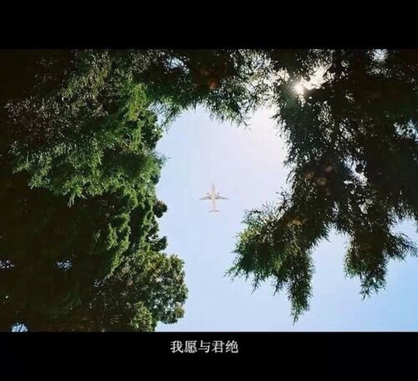 唯美图片，文字图片,情侣图片qqqqp