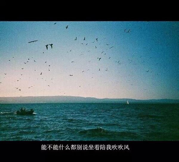 唯美图片，文字图片,情侣图片qqqqp