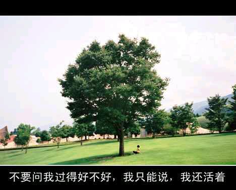 我只想说。你什么时候才能出现在我面前