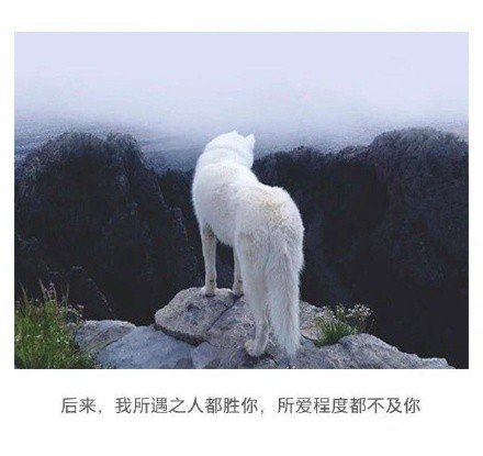 岁月是场有去无回的旅行