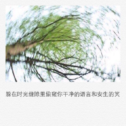 那条很短很短的街，我们已经走了很长的岁月