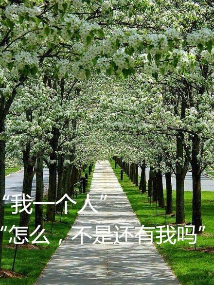 我怕我会看着你笑，然后笑着笑着就忍不住哭了