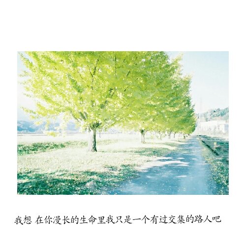 既然他选择离开你，你也应该把他忘记