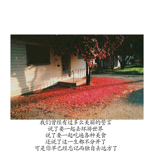 唯美图片，文字图片,情侣图片qqqqp