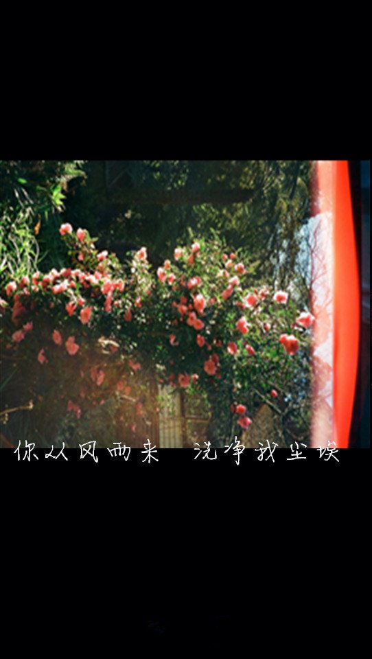 你从风雨来，洗净我尘埃