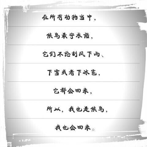 唯美图片，文字图片,情侣图片qqqqp