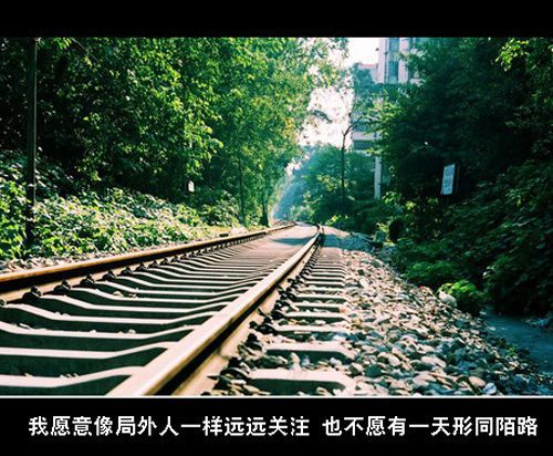 我放弃了属于我的，不属于我的。