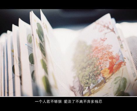 你说爱你是无心之过，别轻易感动 伤感文字图片