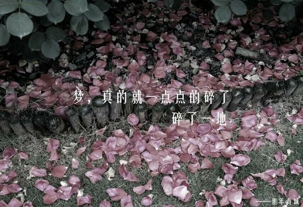 梦，真的碎了，碎了一地