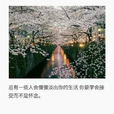 你的世界人潮拥挤，找不到我，也合情合理