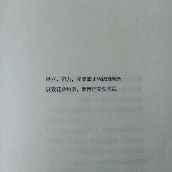 唯美图片，文字图片,情侣图片qqqqp