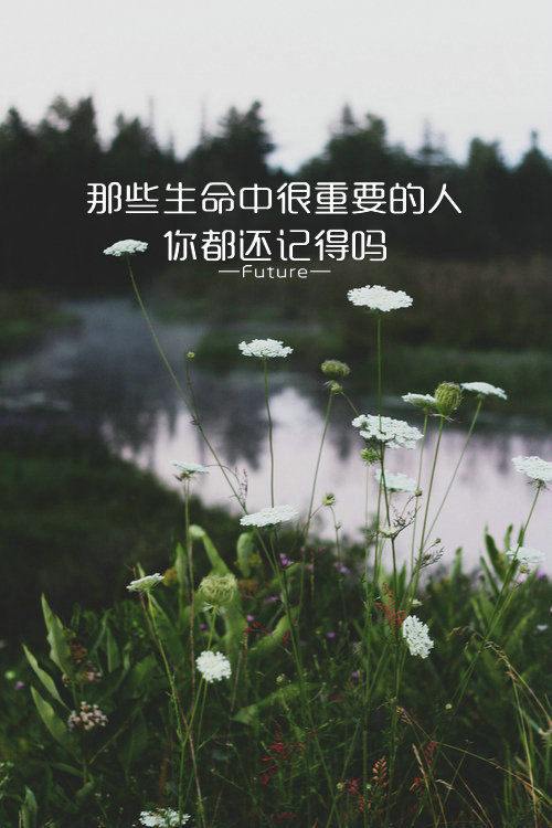 唯美图片，文字图片，动漫图片，情侣图片,qqqqp.com