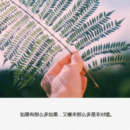 唯美图片，文字图片,情侣图片qqqqp