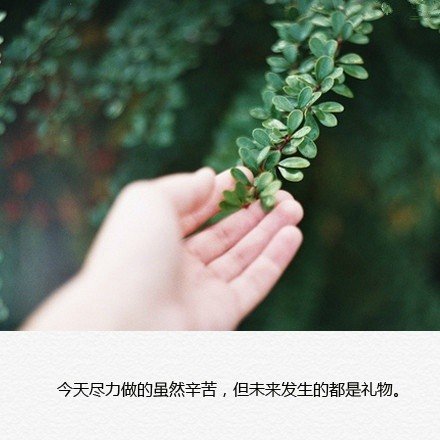 唯美图片，文字图片,情侣图片qqqqp