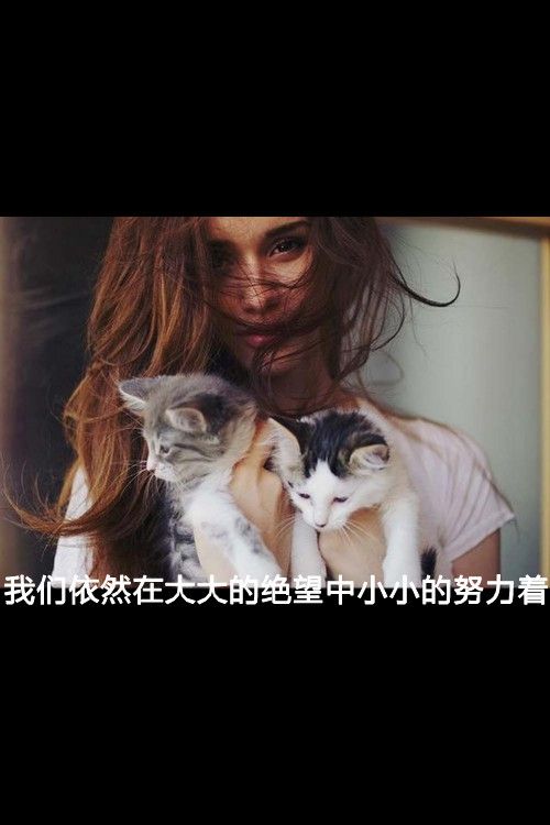 你把我掩埋，把我和我的一切