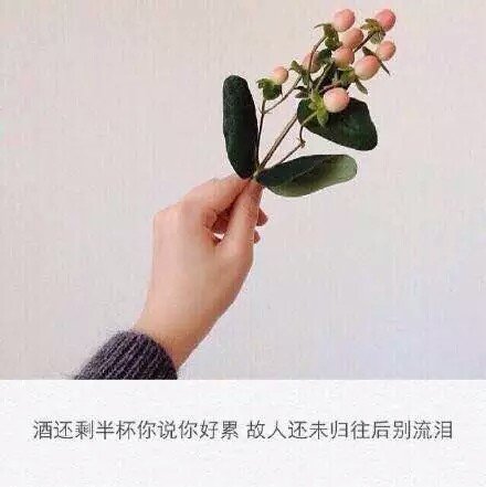 唯美图片，文字图片,情侣图片qqqqp