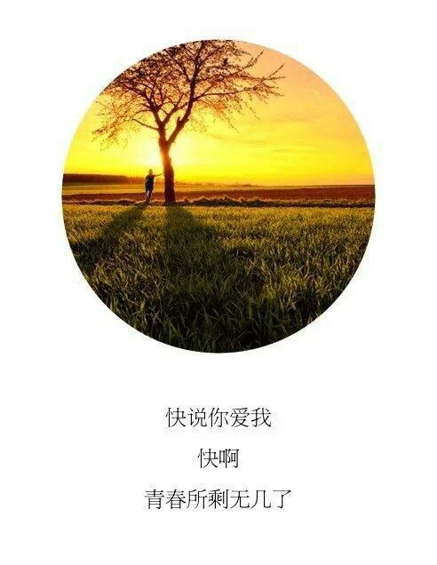 唯美图片，文字图片，动漫图片，情侣图片,qqqqp.com