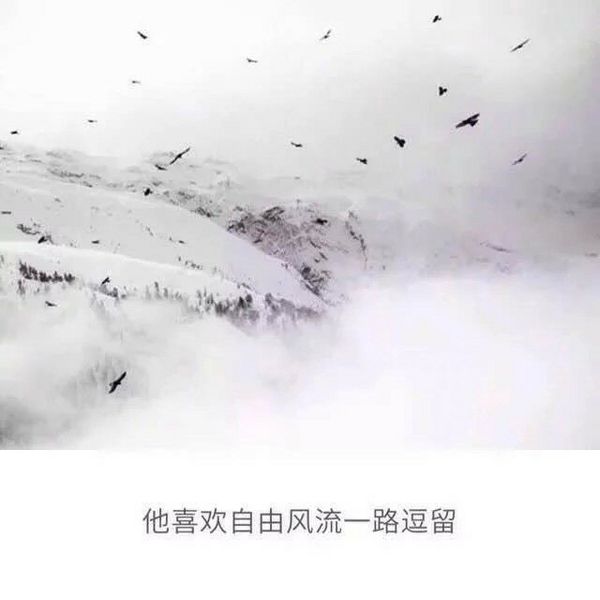 唯美图片，文字图片，动漫图片，情侣图片,qqqqp.com
