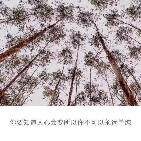 唯美图片，文字图片，动漫图片，情侣图片,qqqqp.com