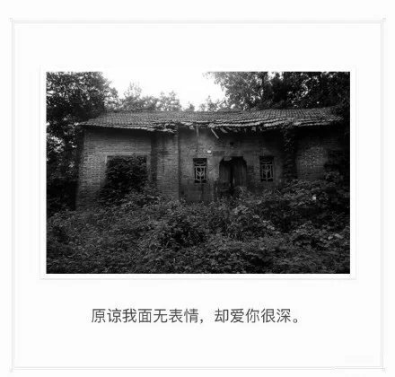 唯美图片，文字图片，动漫图片，情侣图片,qqqqp.com