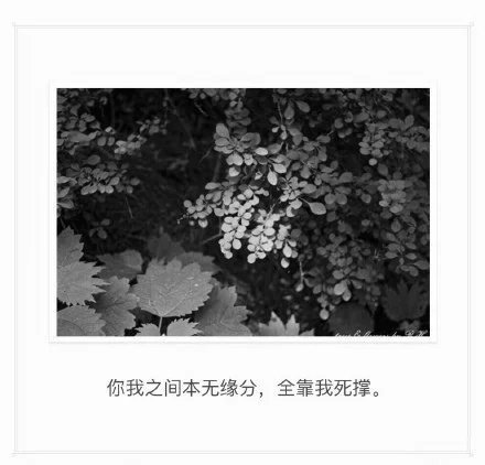 唯美图片，文字图片，动漫图片，情侣图片,qqqqp.com