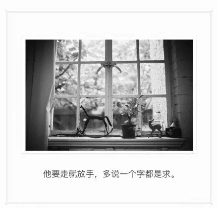唯美图片，文字图片，动漫图片，情侣图片,qqqqp.com