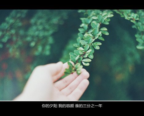 久违了我的旧爱，谁来帮我戏弄你的新欢