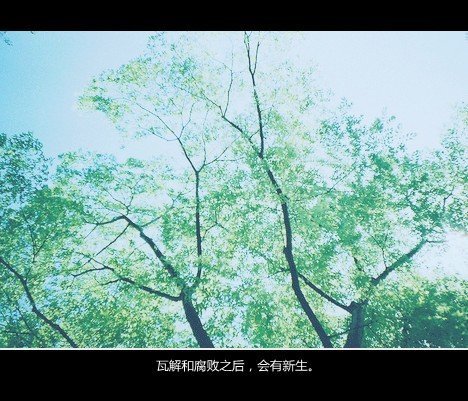 唯美图片，文字图片，动漫图片，情侣图片,qqqqp.com