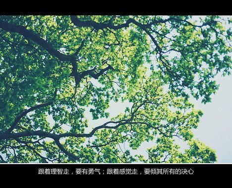 唯美图片，文字图片，动漫图片，情侣图片,qqqqp.com