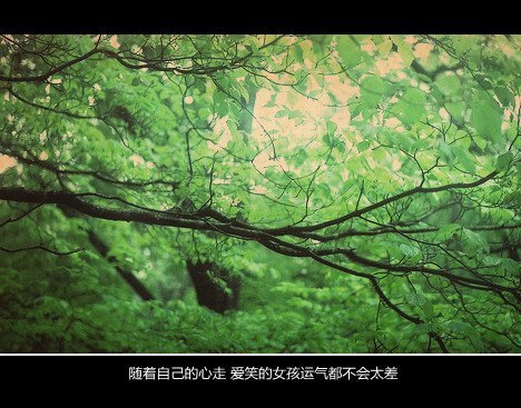 唯美图片，文字图片，动漫图片，情侣图片,qqqqp.com