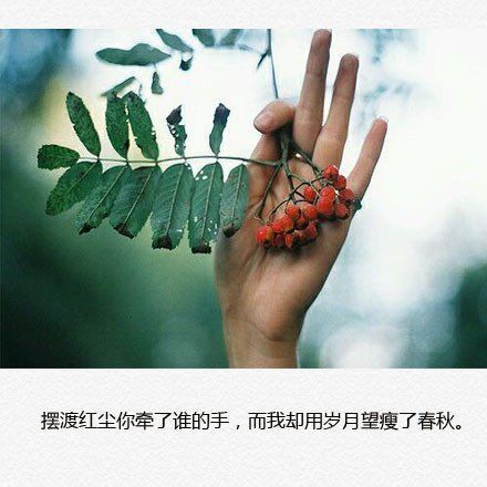 唯美图片，文字图片，动漫图片，情侣图片,qqqqp.com