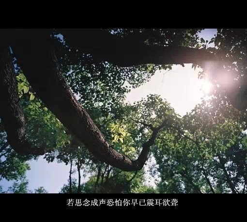唯美图片，文字图片，动漫图片，情侣图片,qqqqp.com