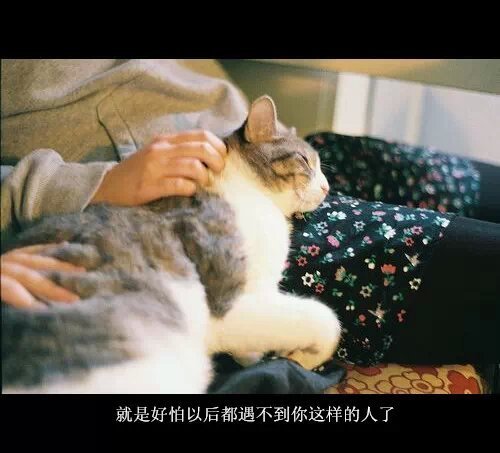 唯美图片，文字图片，动漫图片，情侣图片,qqqqp.com
